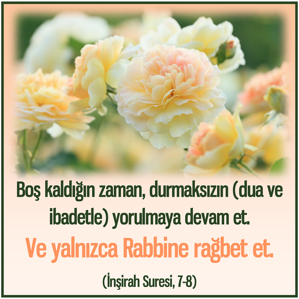 İnşirâh Suresi 8. Ayet, Resimli