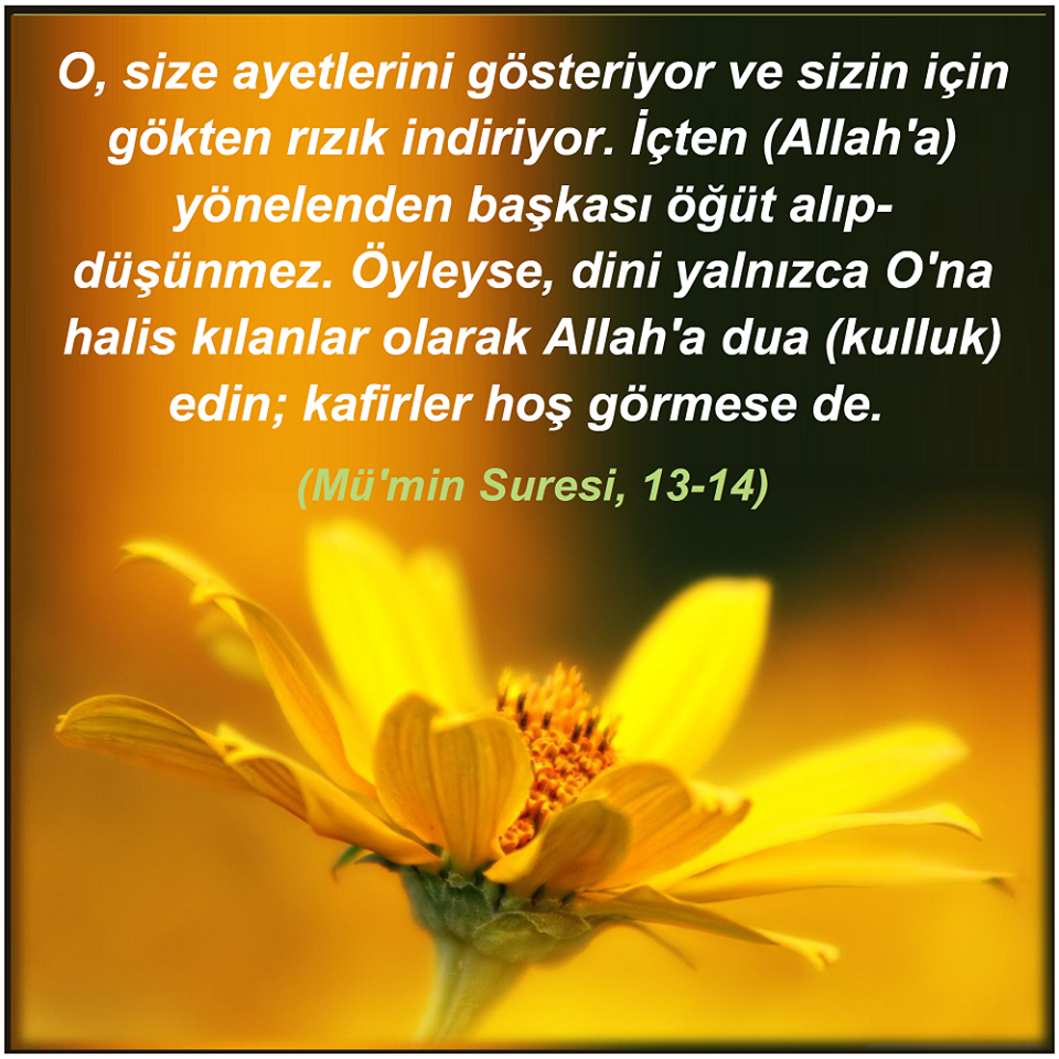 Mü`min Suresi 14. Ayet Meali, Mü`min 14, 40:14