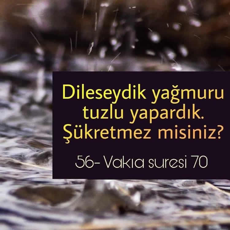Vâkıa Suresi 70. Ayet, Resimli